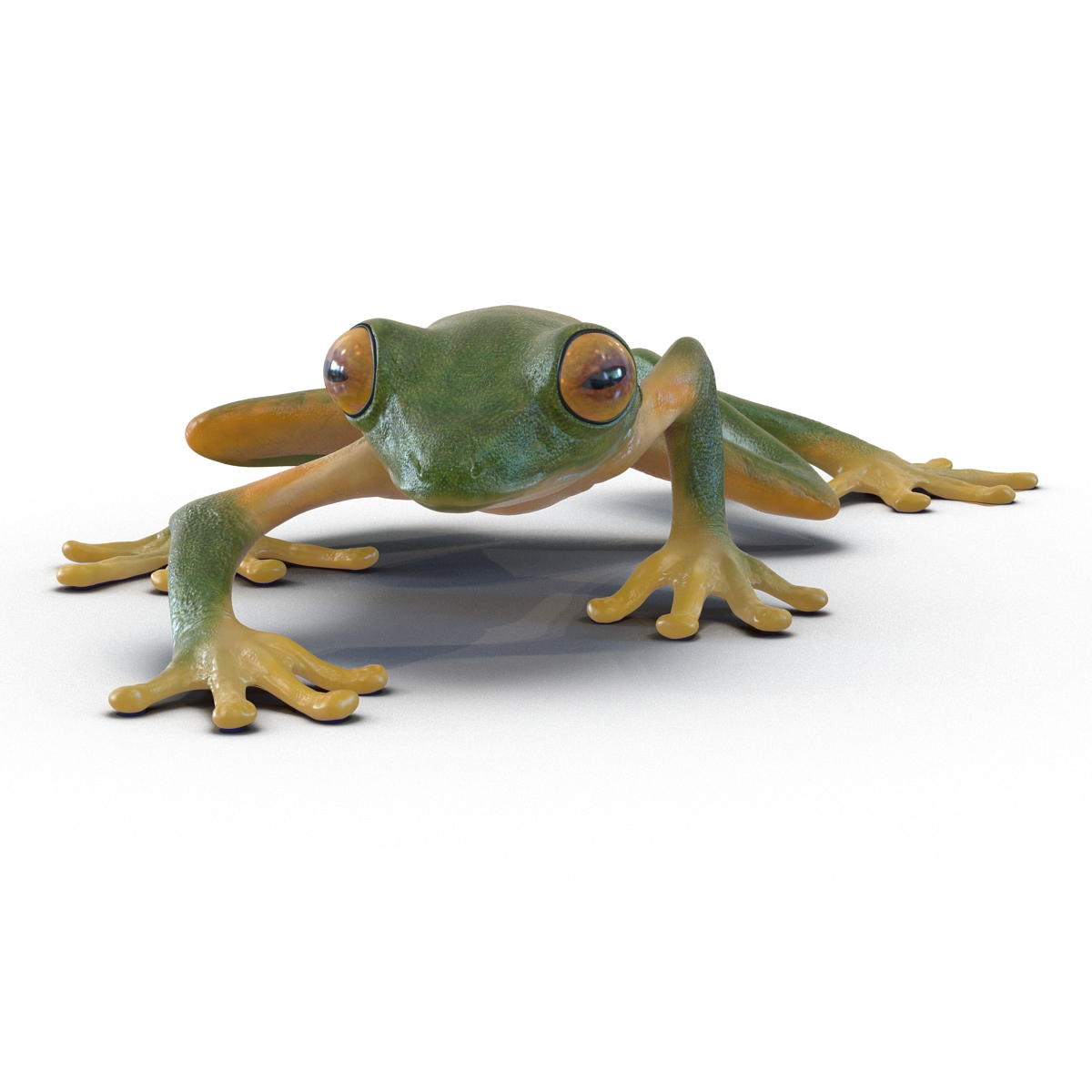 3D Tree Frog Pose 2