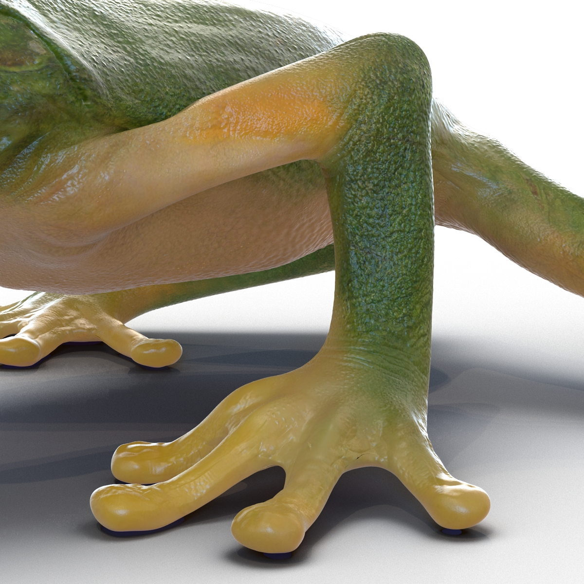 3D Tree Frog Pose 2