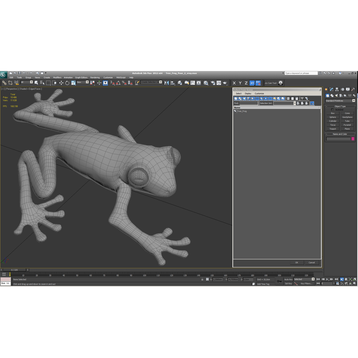 3D Tree Frog Pose 2