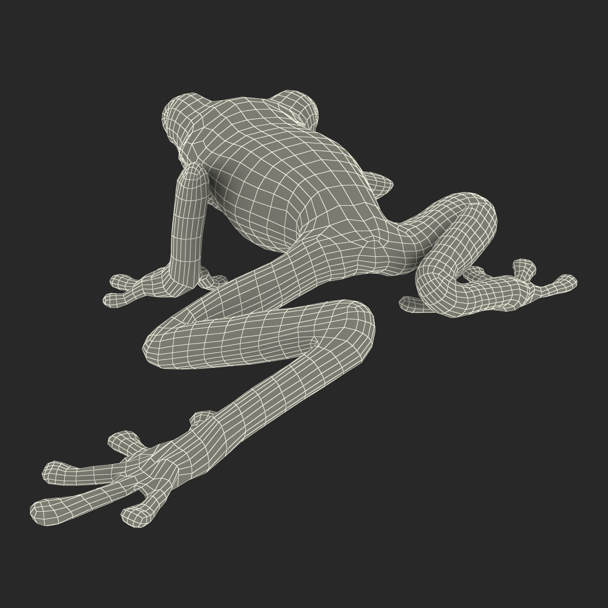 3D Tree Frog Pose 2