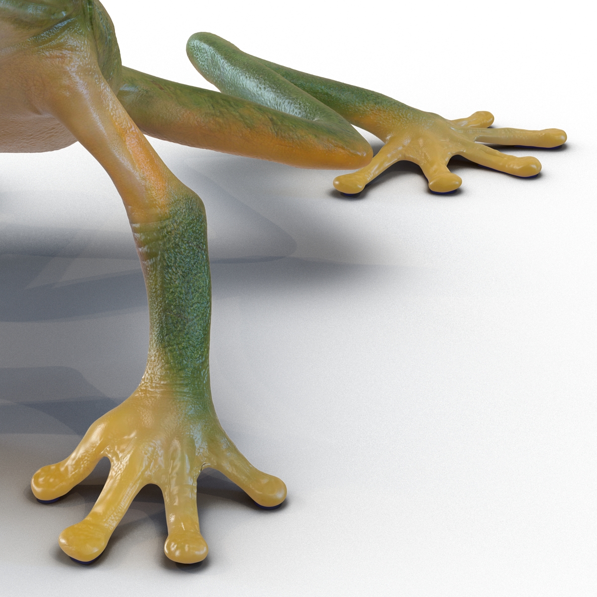 3D Tree Frog Pose 3