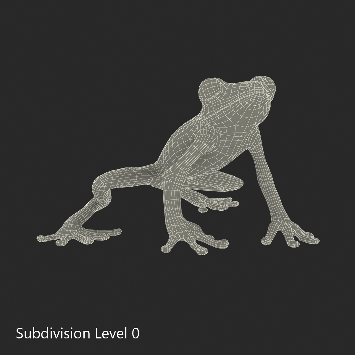 3D Tree Frog Pose 3