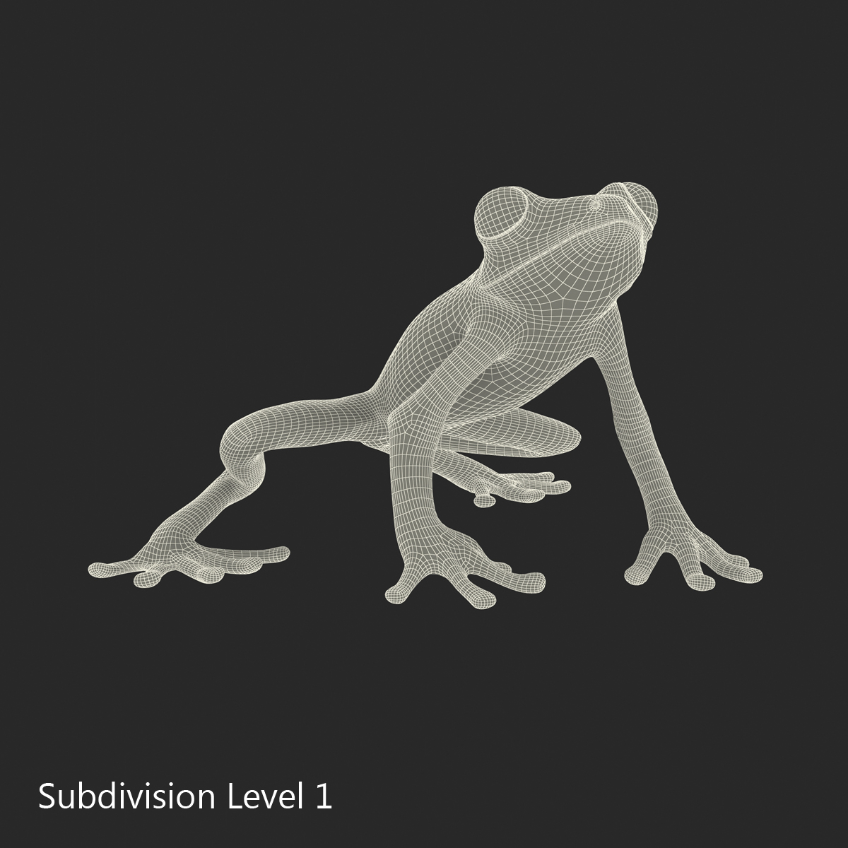 3D Tree Frog Pose 3