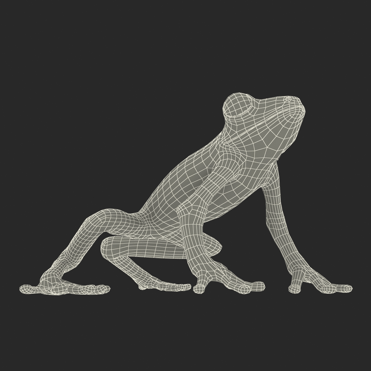 3D Tree Frog Pose 3