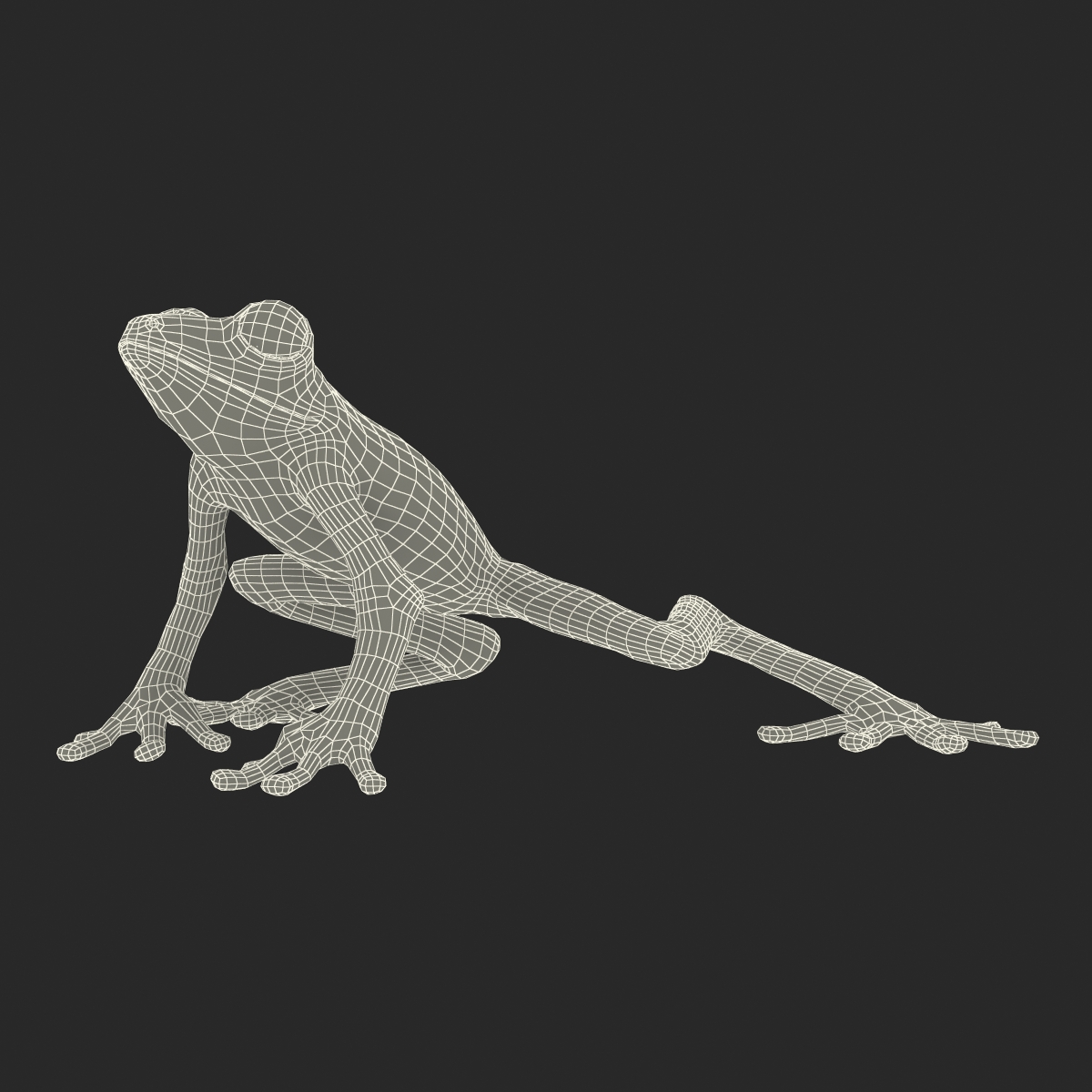 3D Tree Frog Pose 3