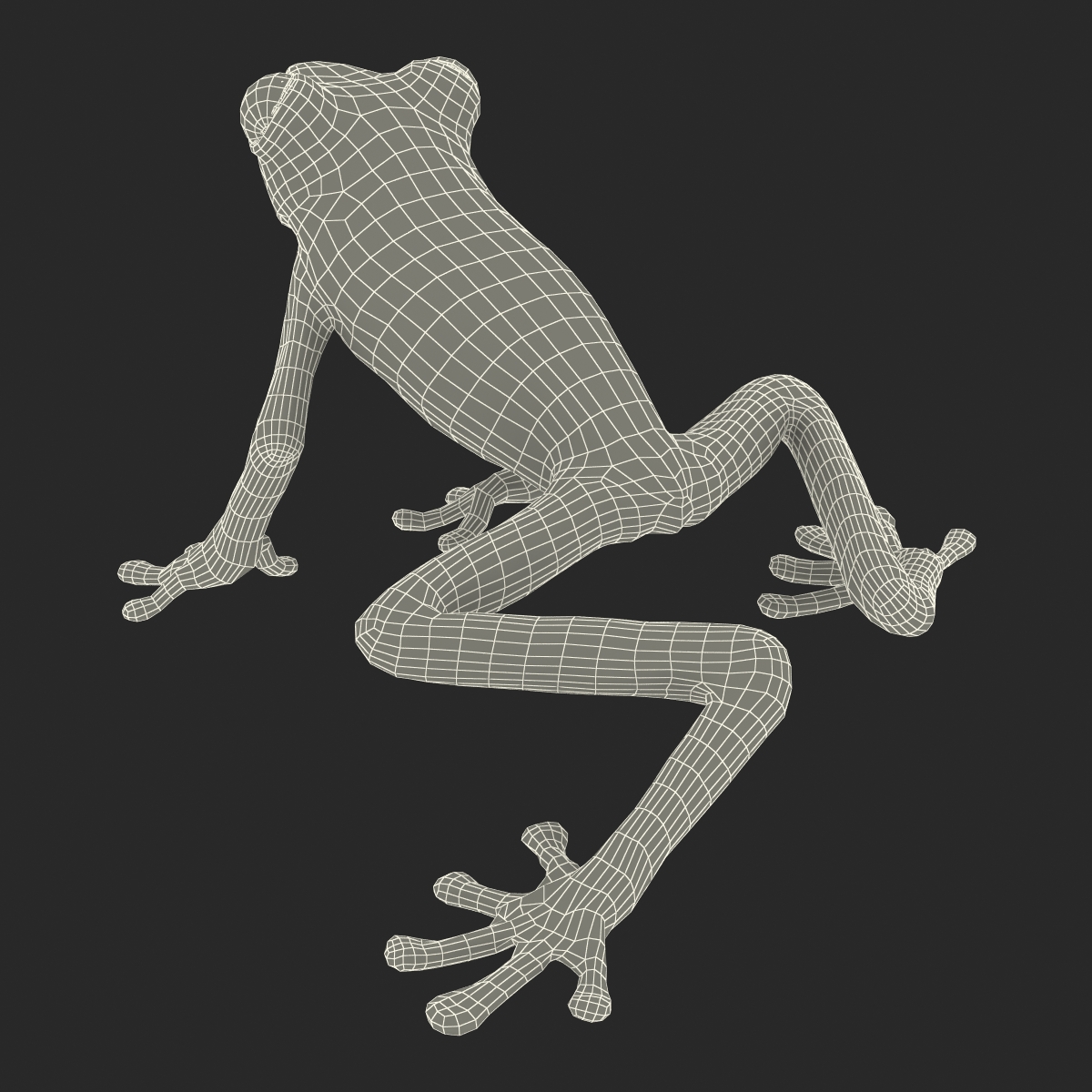 3D Tree Frog Pose 3