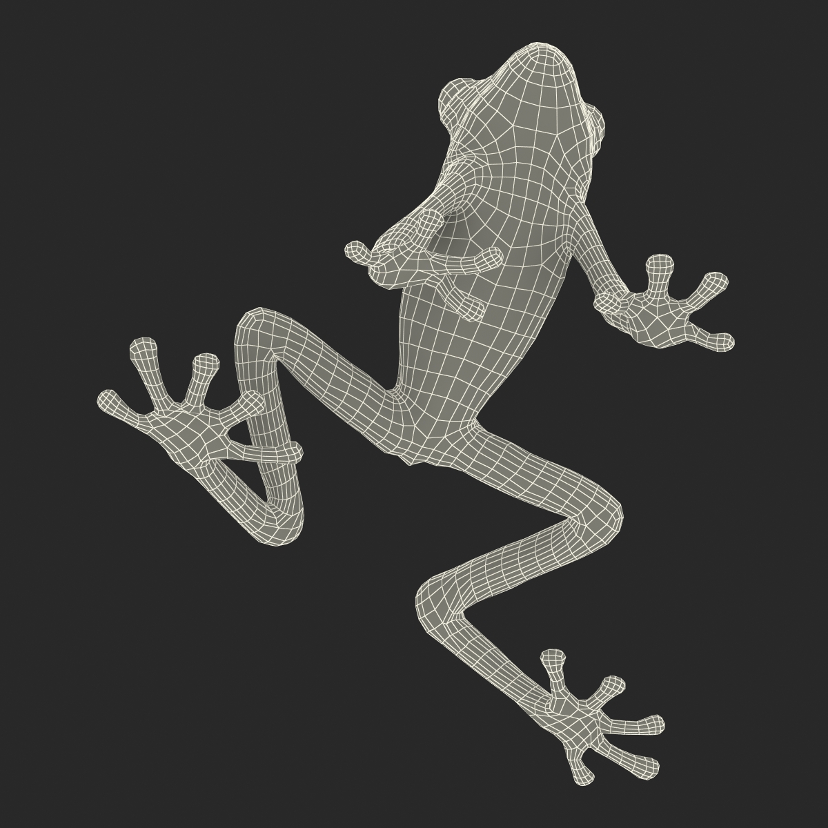 3D Tree Frog Pose 3