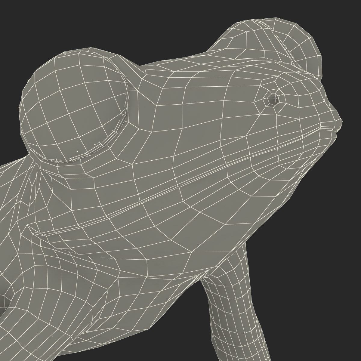 3D Tree Frog Pose 3