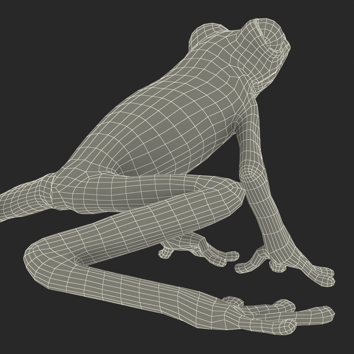 3D Tree Frog Pose 3