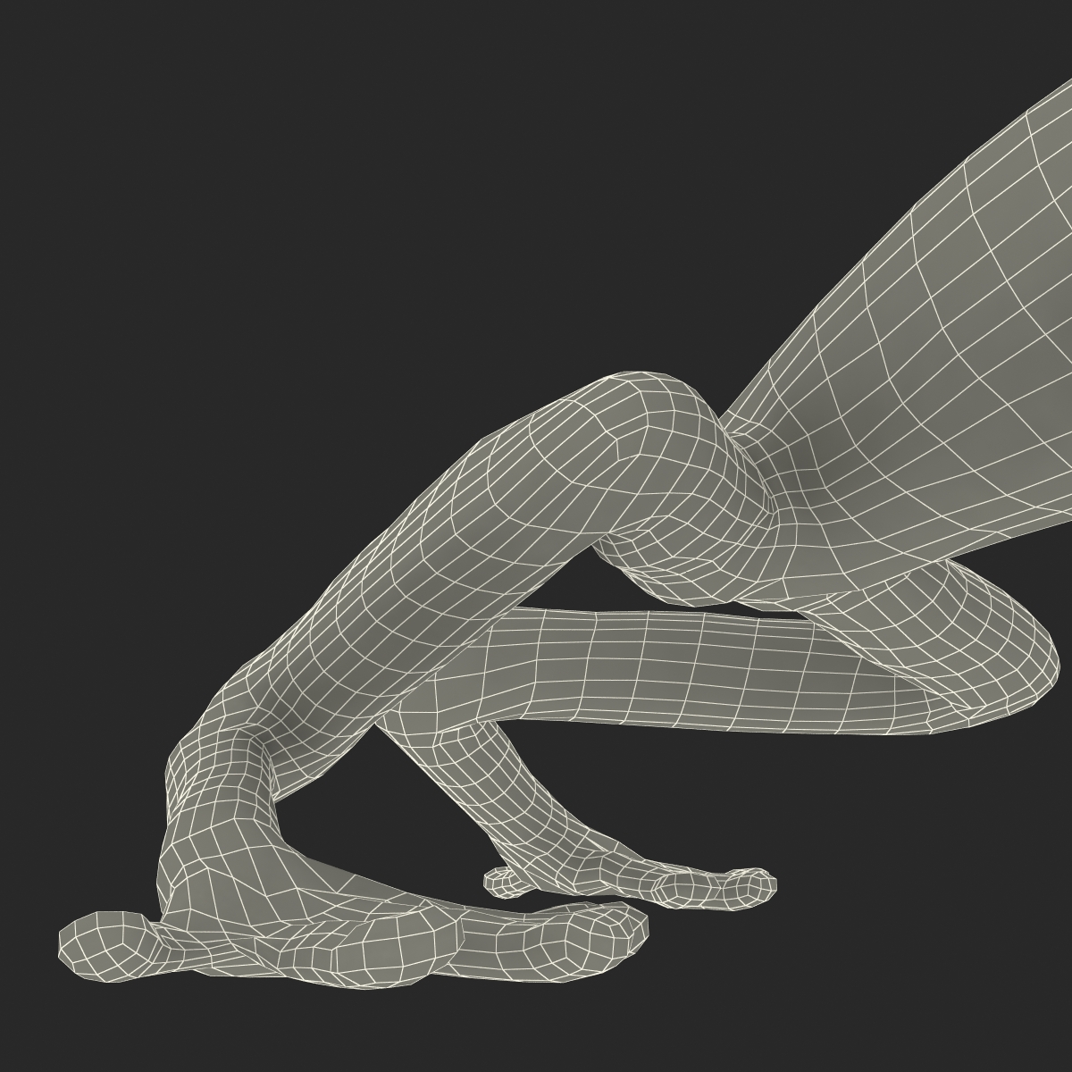 3D Tree Frog Pose 3