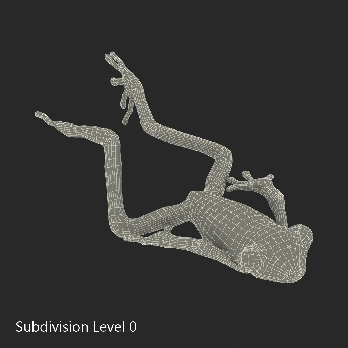 3D Tree Frog Pose 4