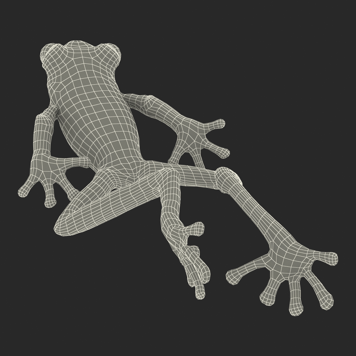 3D Tree Frog Pose 4