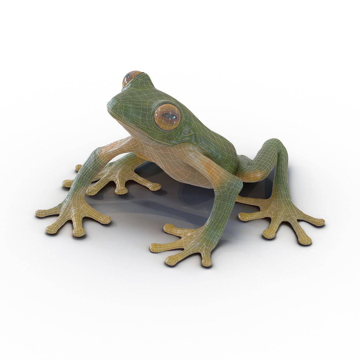 3D Tree Frog Rigged