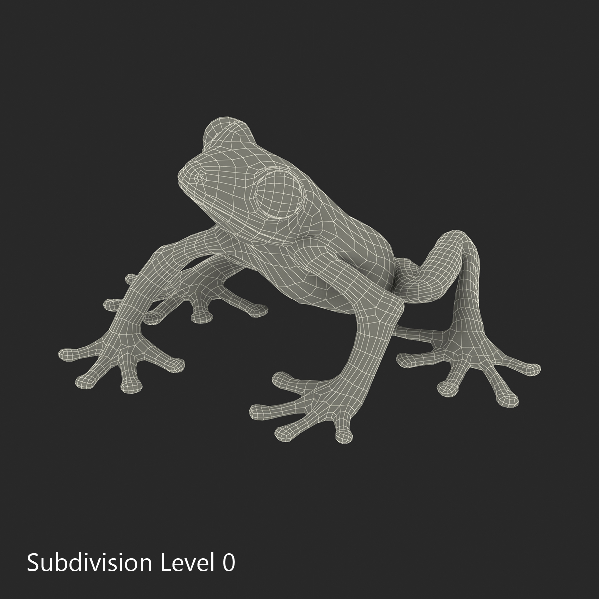 3D Tree Frog Rigged