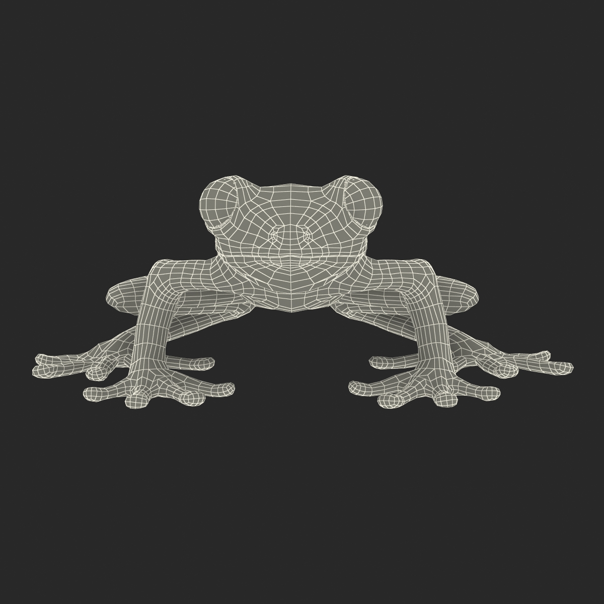 3D Tree Frog Rigged