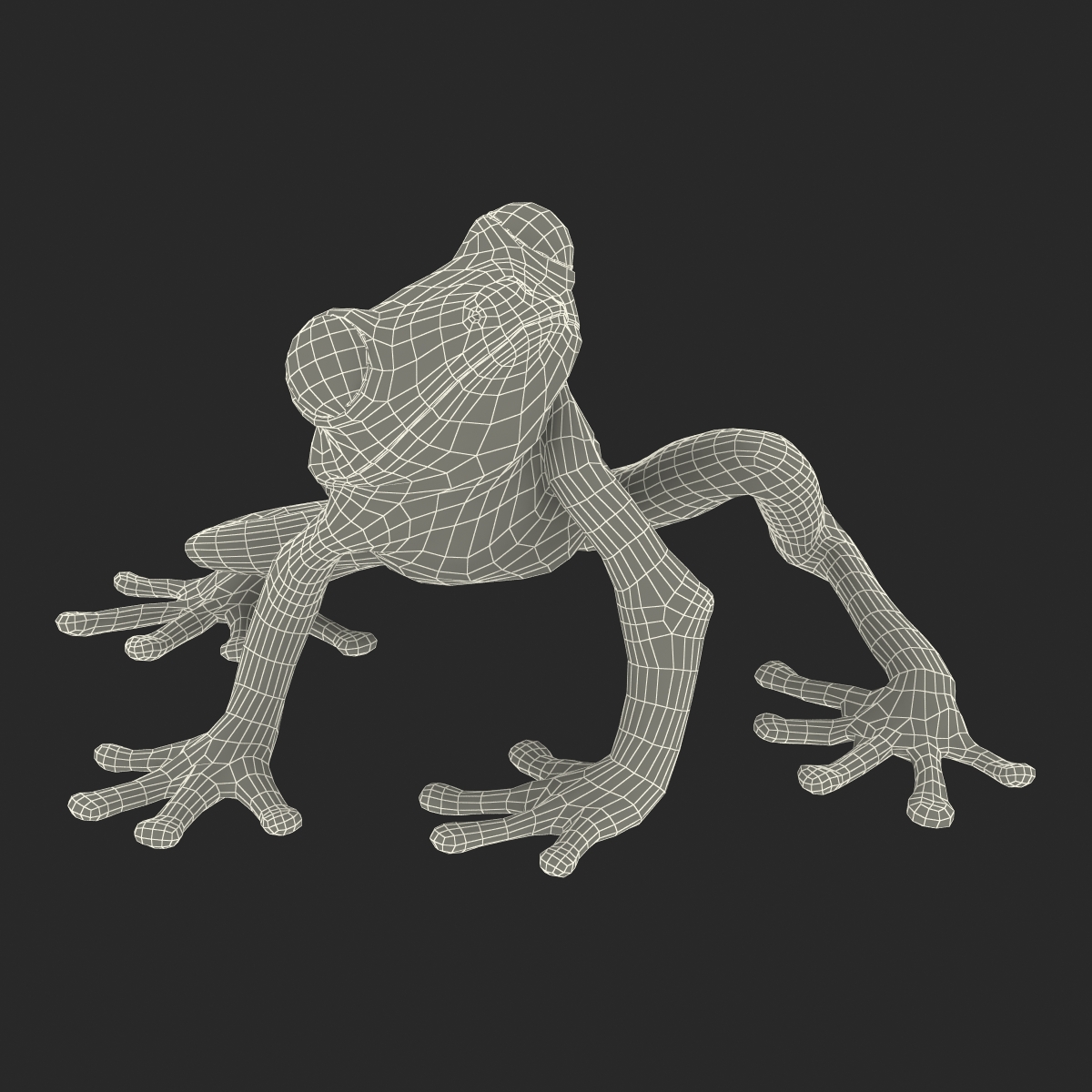 3D Tree Frog Rigged