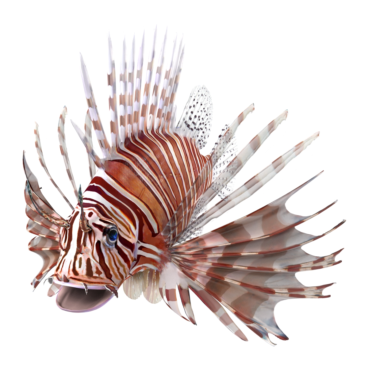 3D Lion Fish Rigged