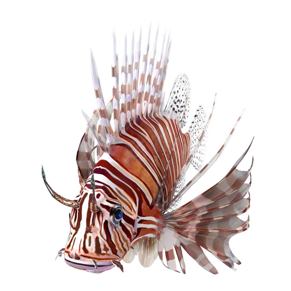 3D Lion Fish Rigged