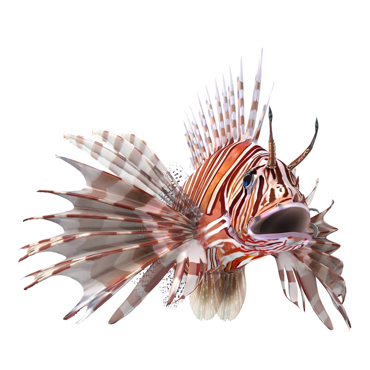 3D Lion Fish Rigged