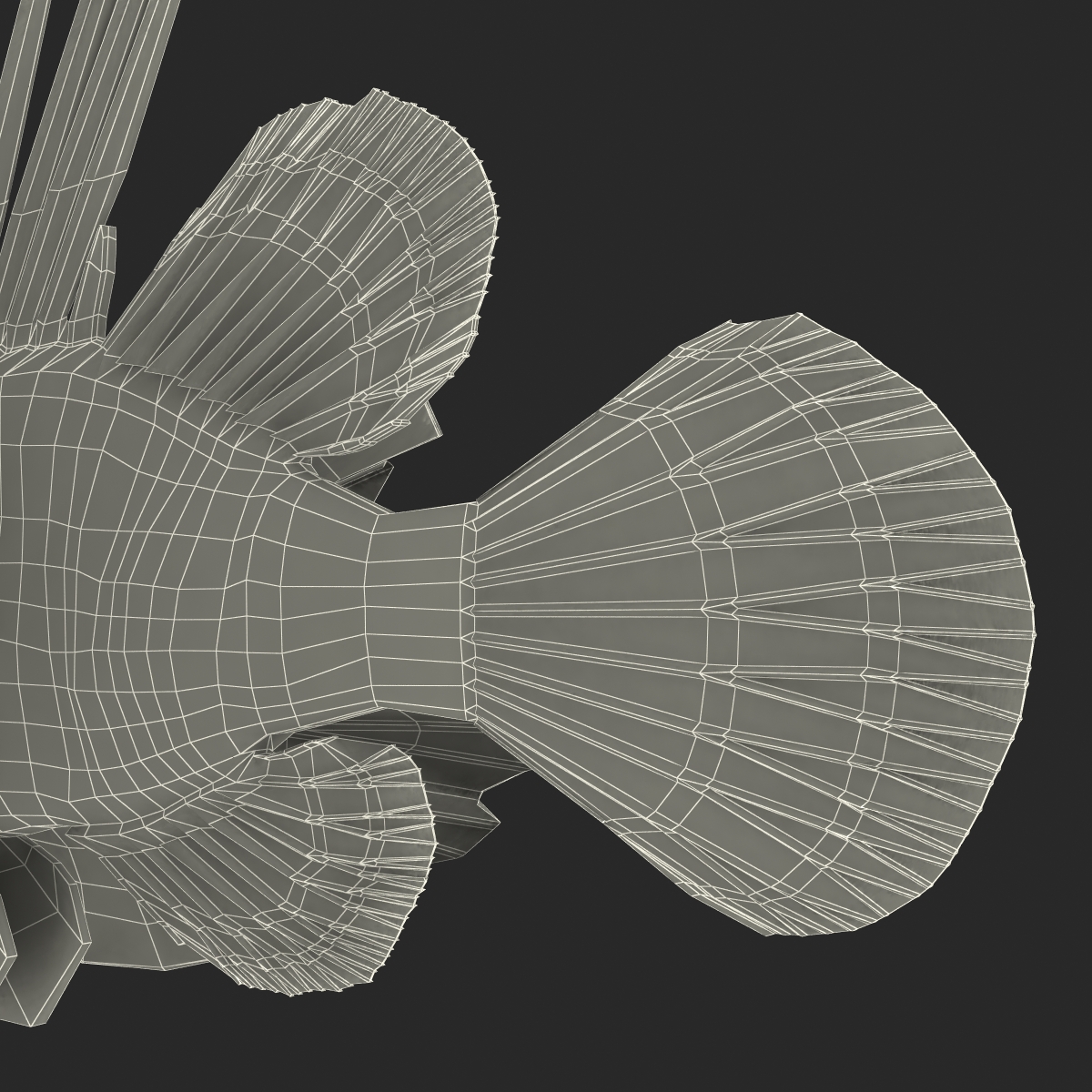 Lion Fish 3D model