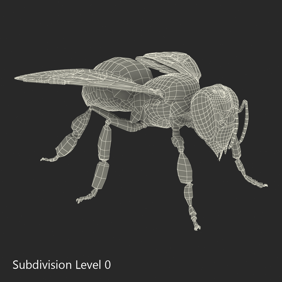 3D model Bee Rigged