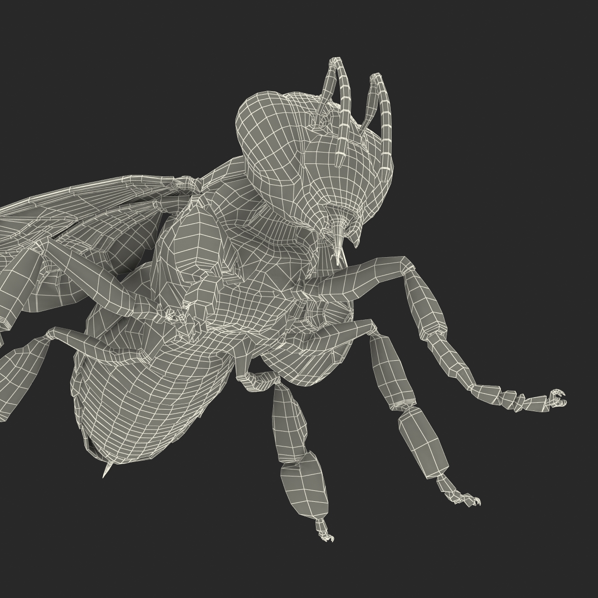 3D model Bee Rigged