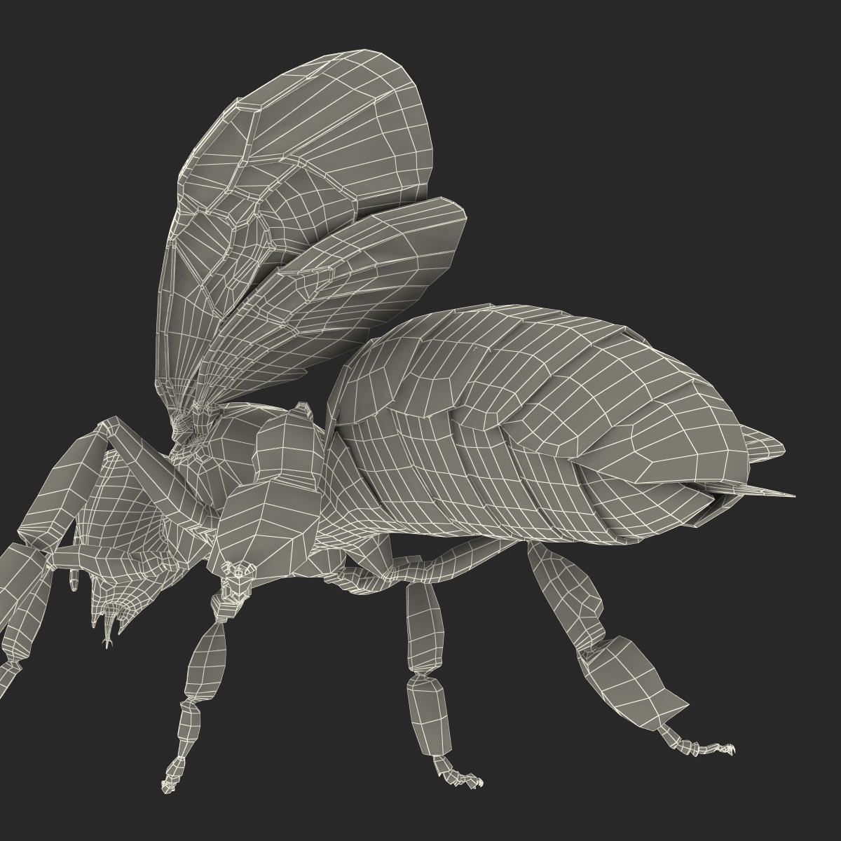 3D model Bee Rigged