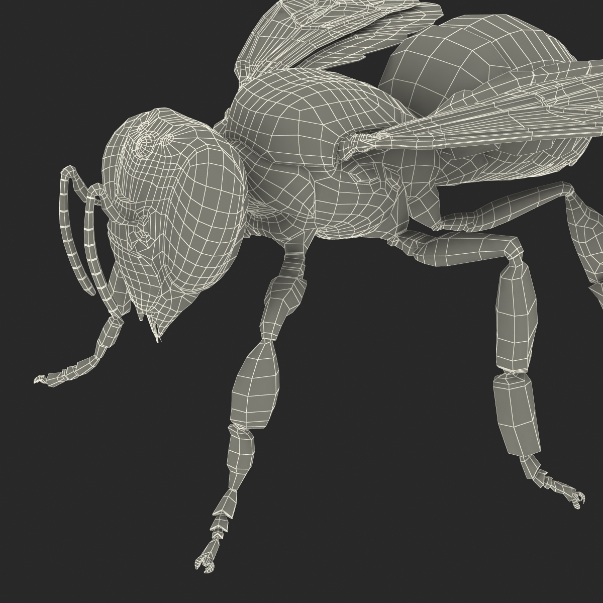 3D model Bee Rigged