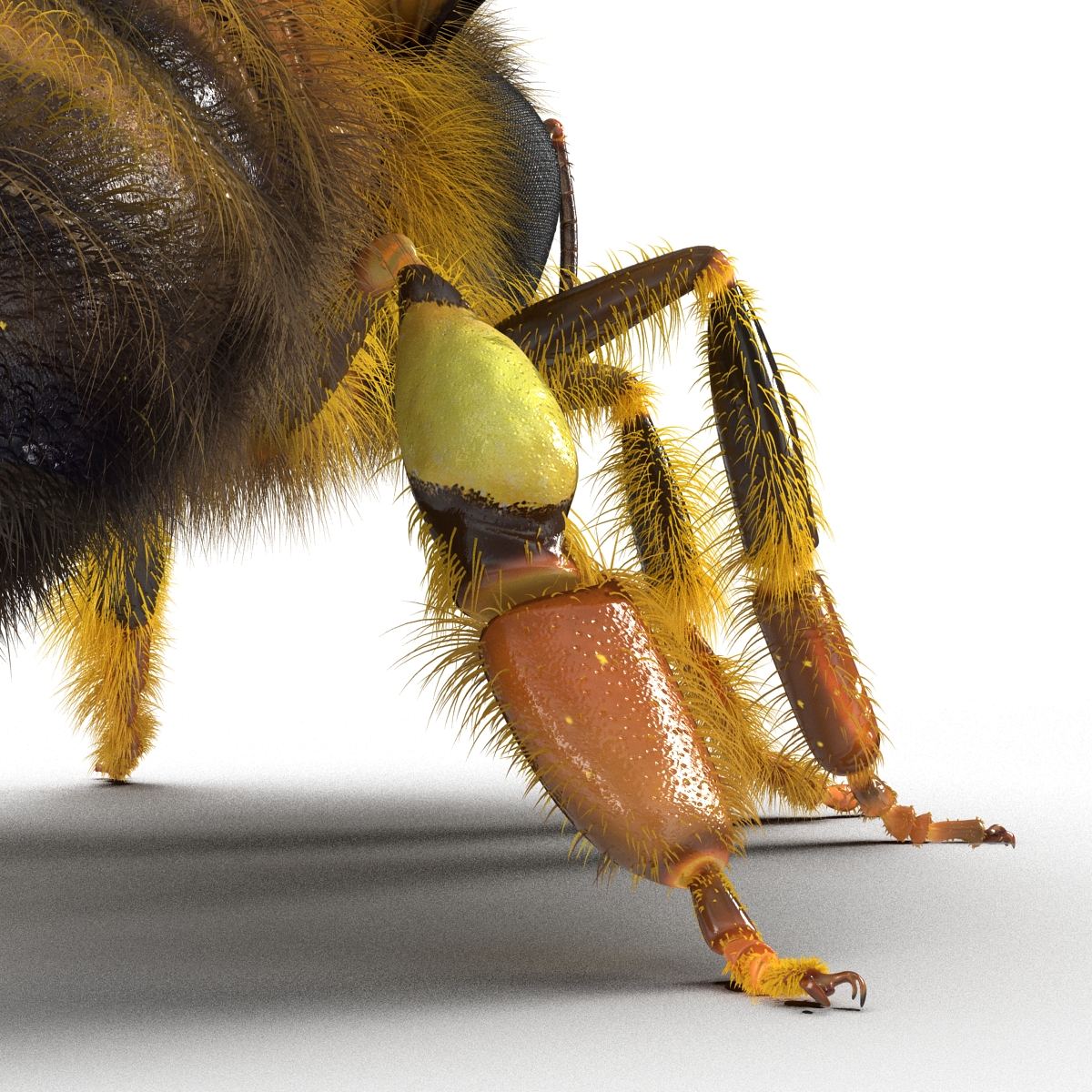 3D model Bee Pose 2