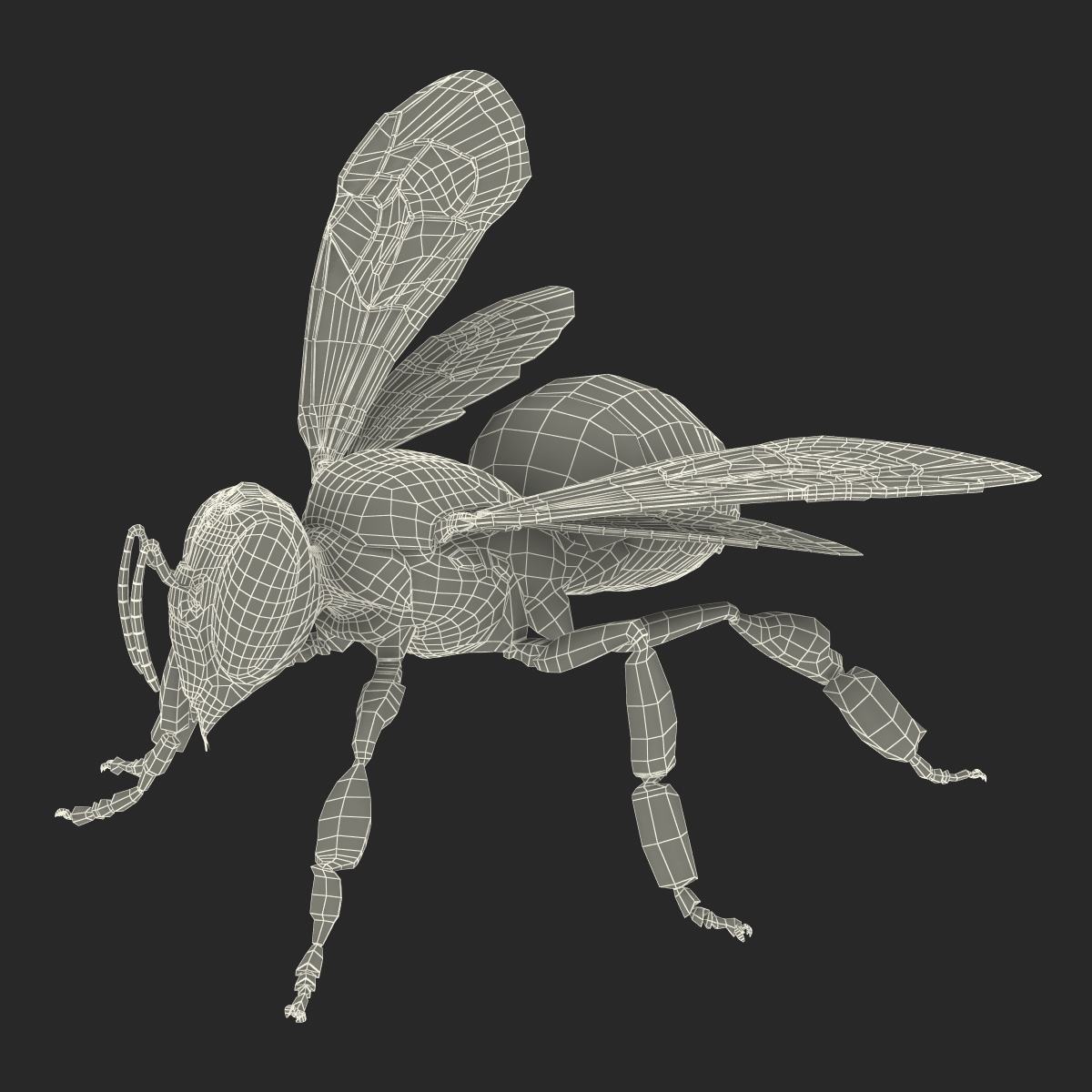 3D model Bee Pose 2