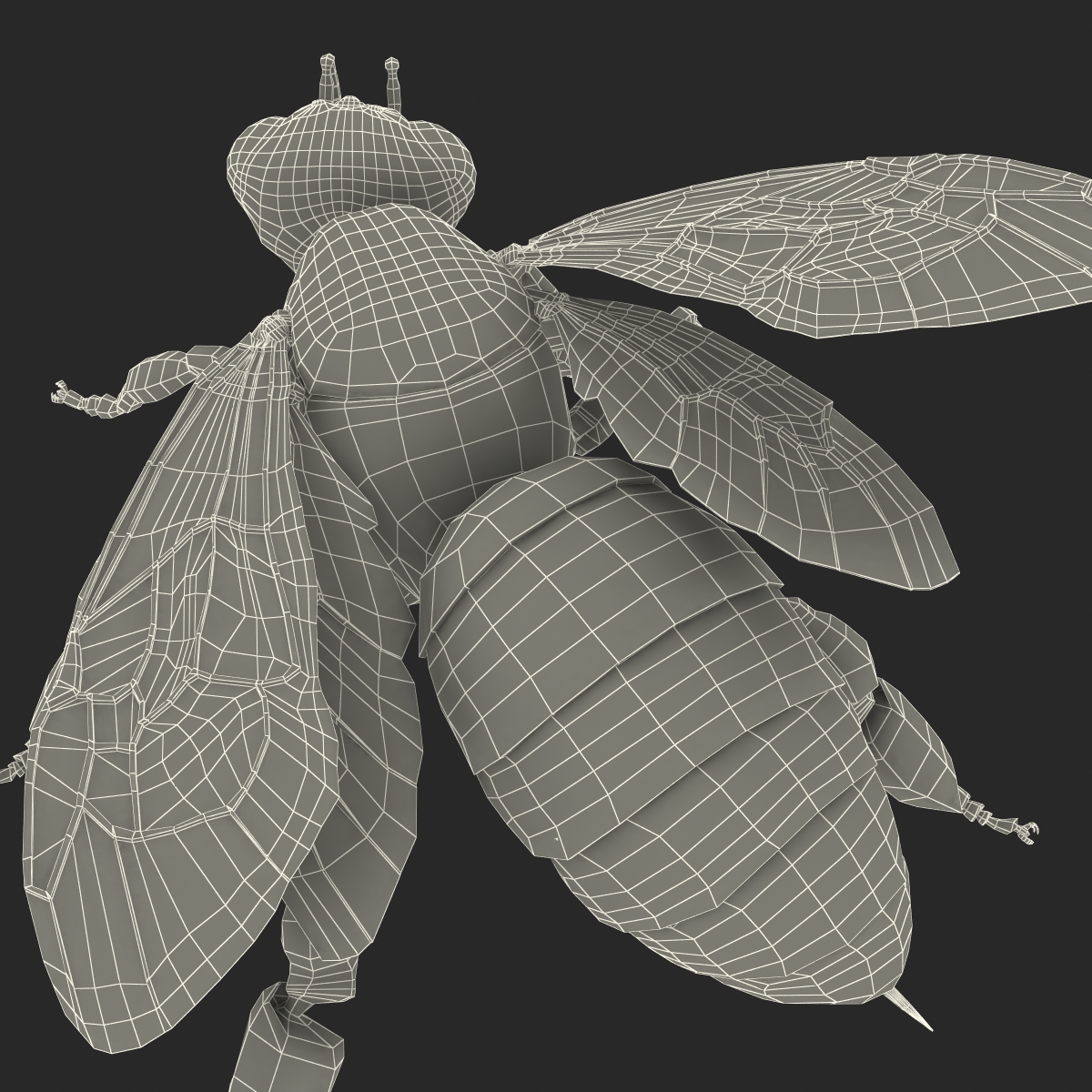 3D model Bee Pose 2