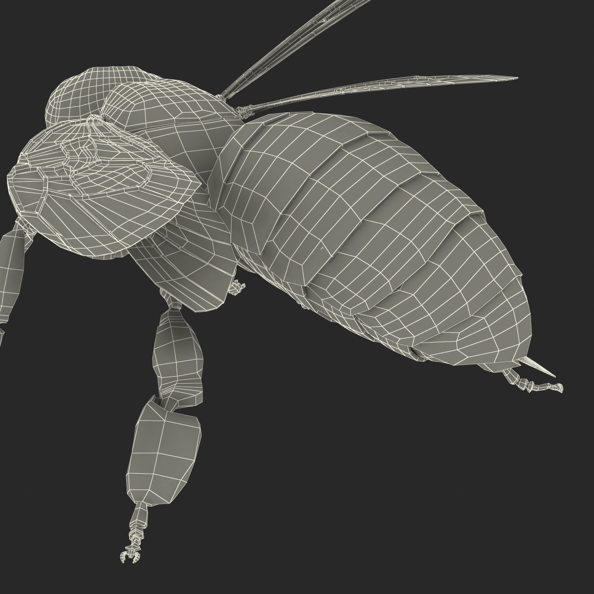 3D model Bee Pose 2