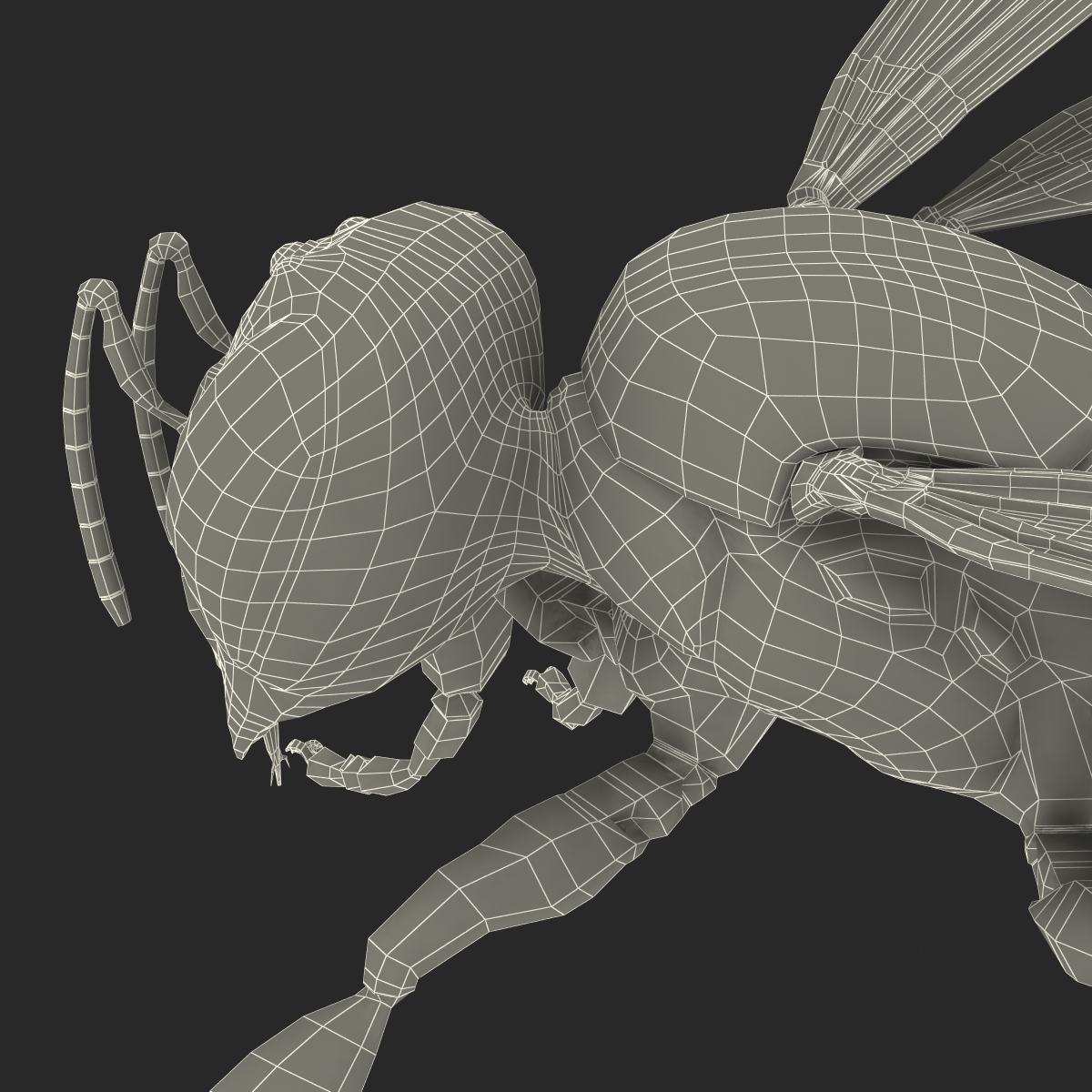 3D model Bee Pose 2