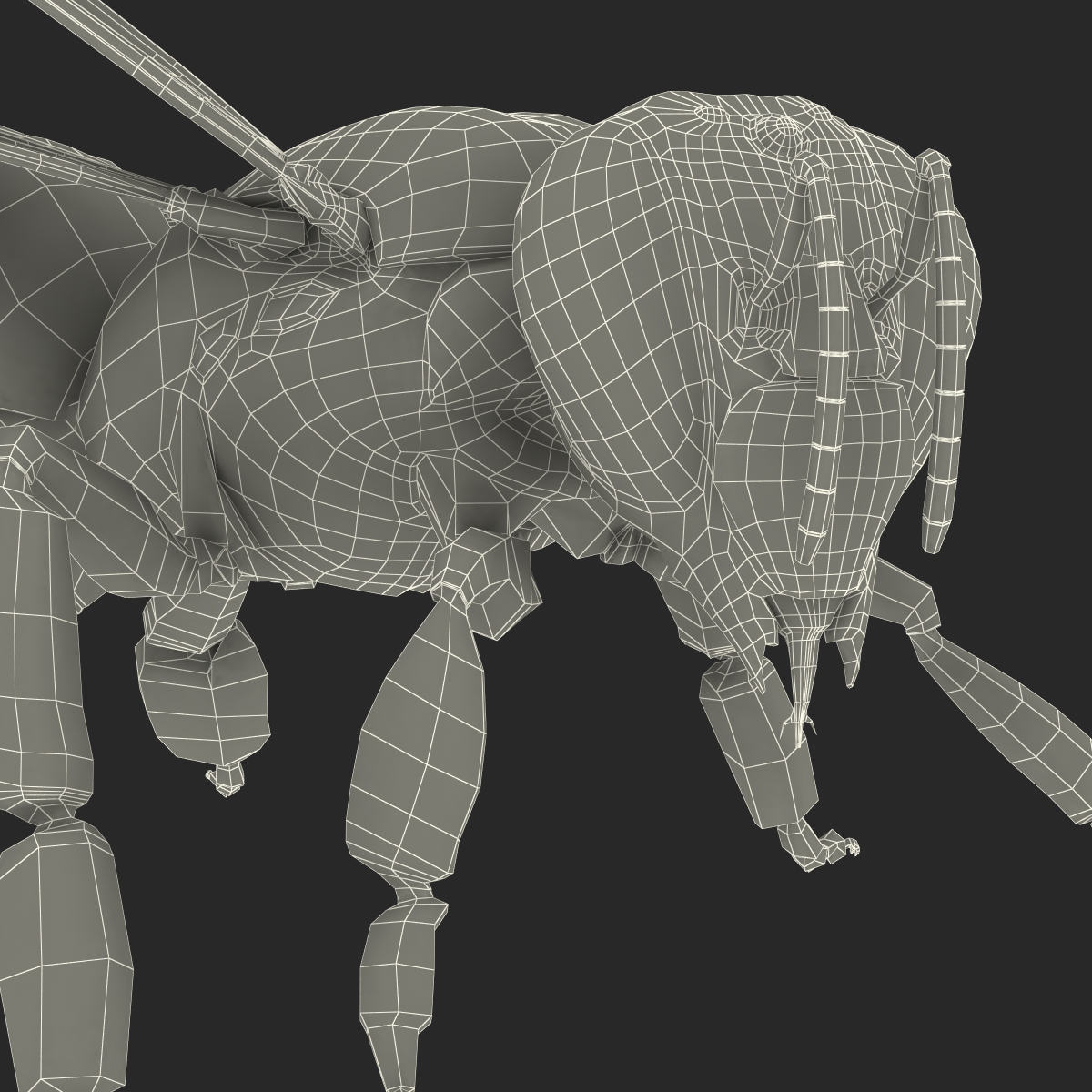 3D model Bee Pose 2