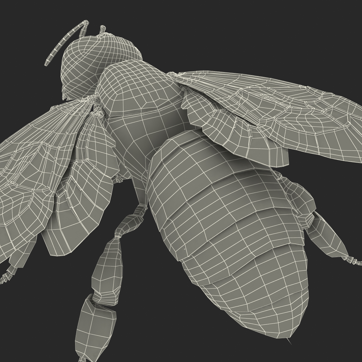 3D model Bee Pose 4