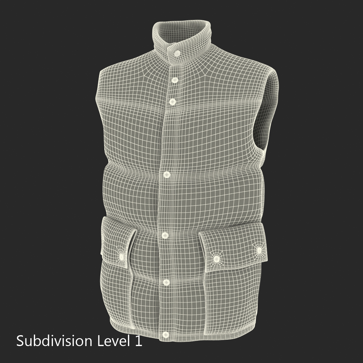 Camping Vest 3D