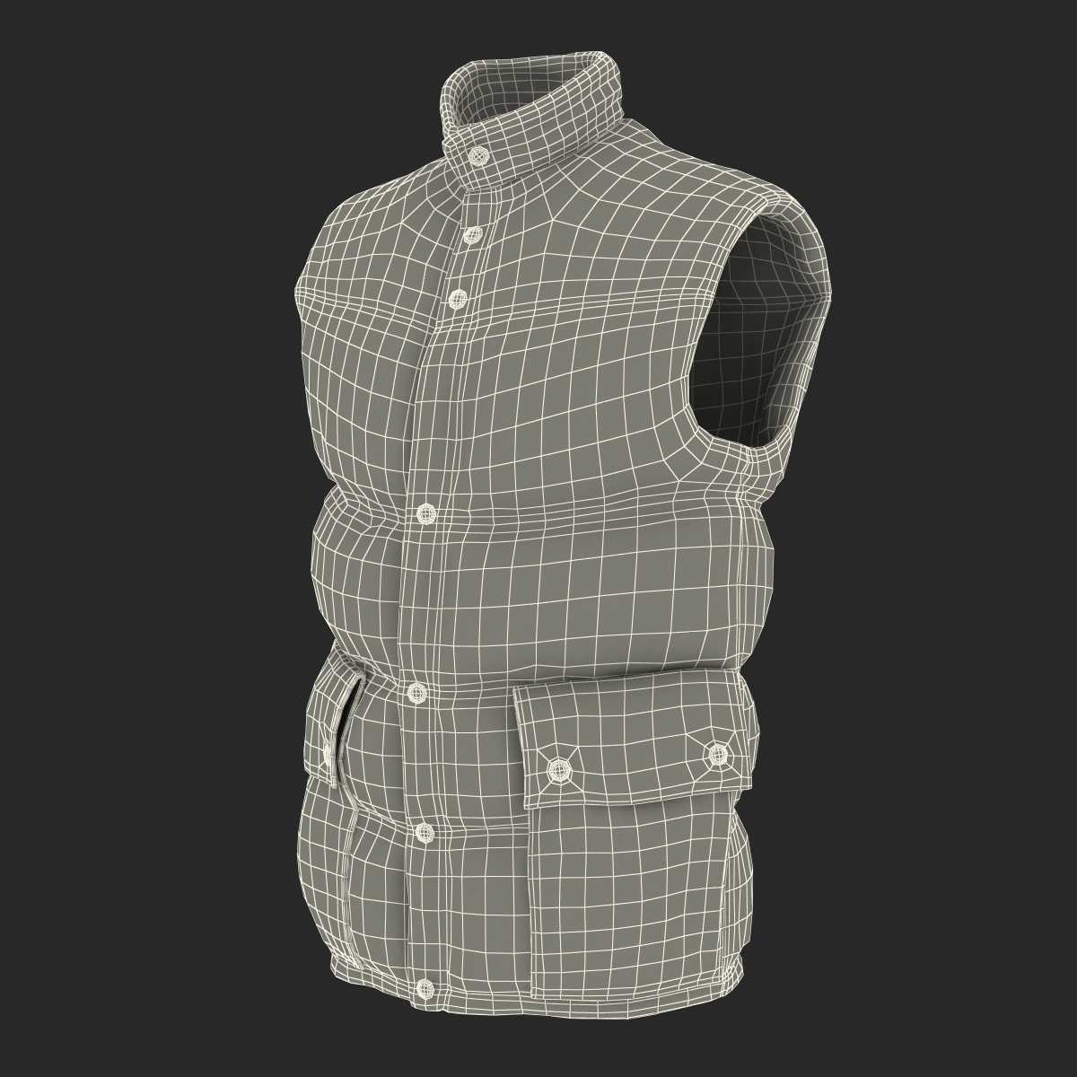 Camping Vest 3D