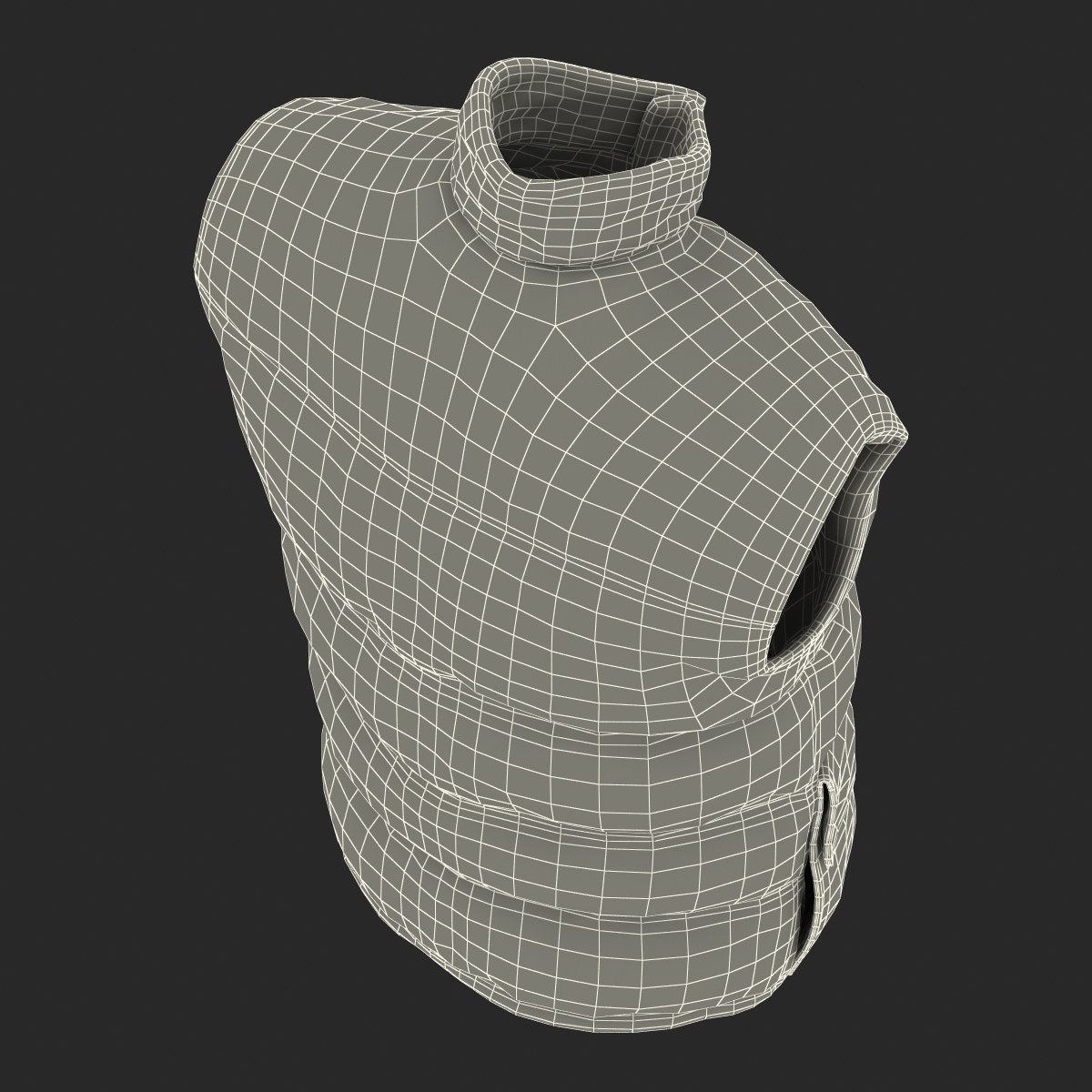 Camping Vest 3D