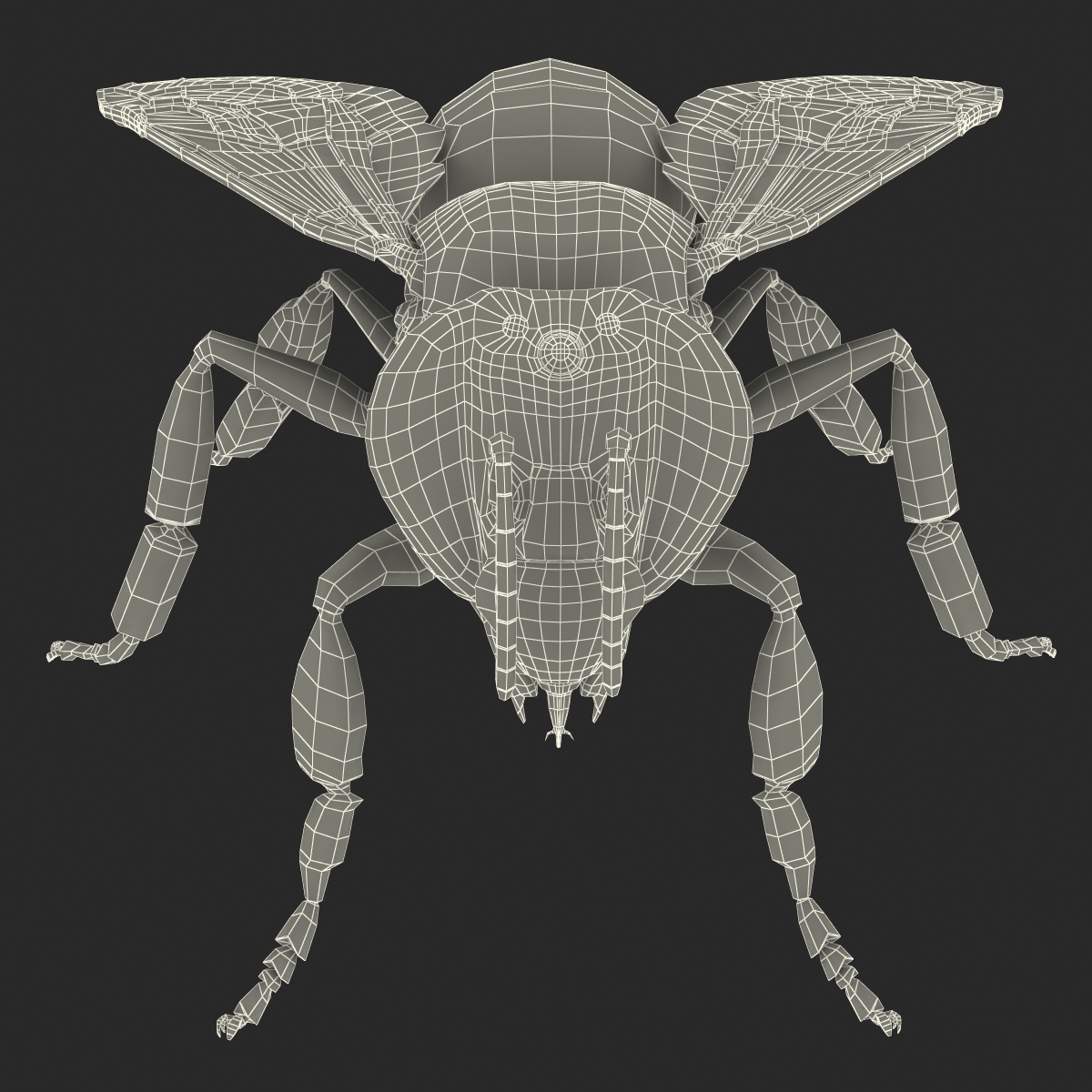 3D Honey Bee Rigged