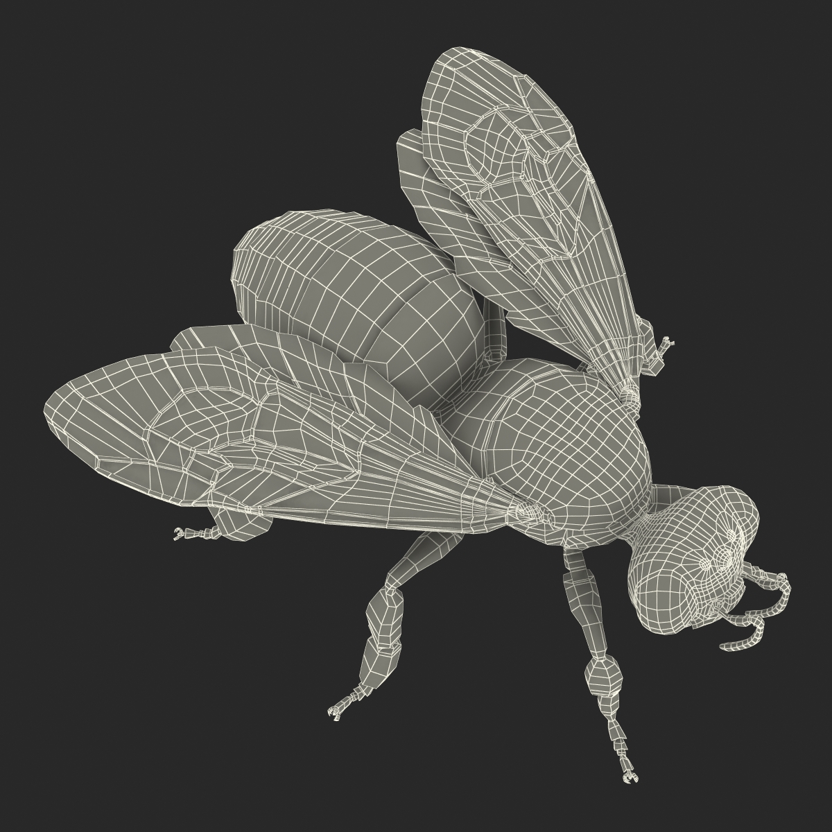 Honey Bee 3D model