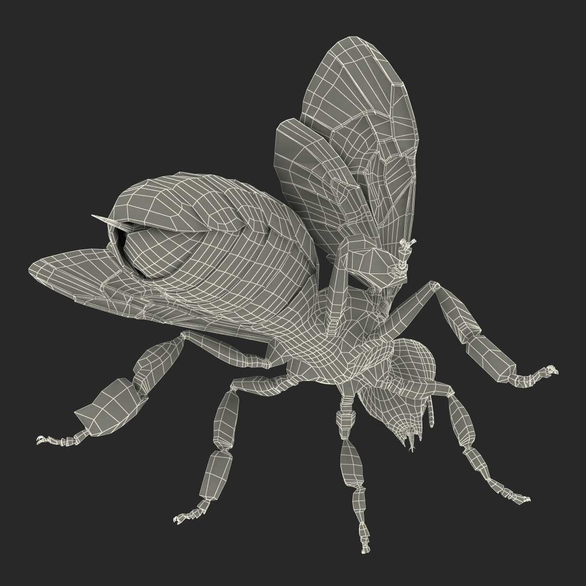 Honey Bee 3D model