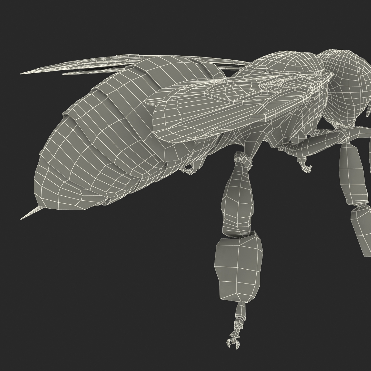 Honey Bee 3D model