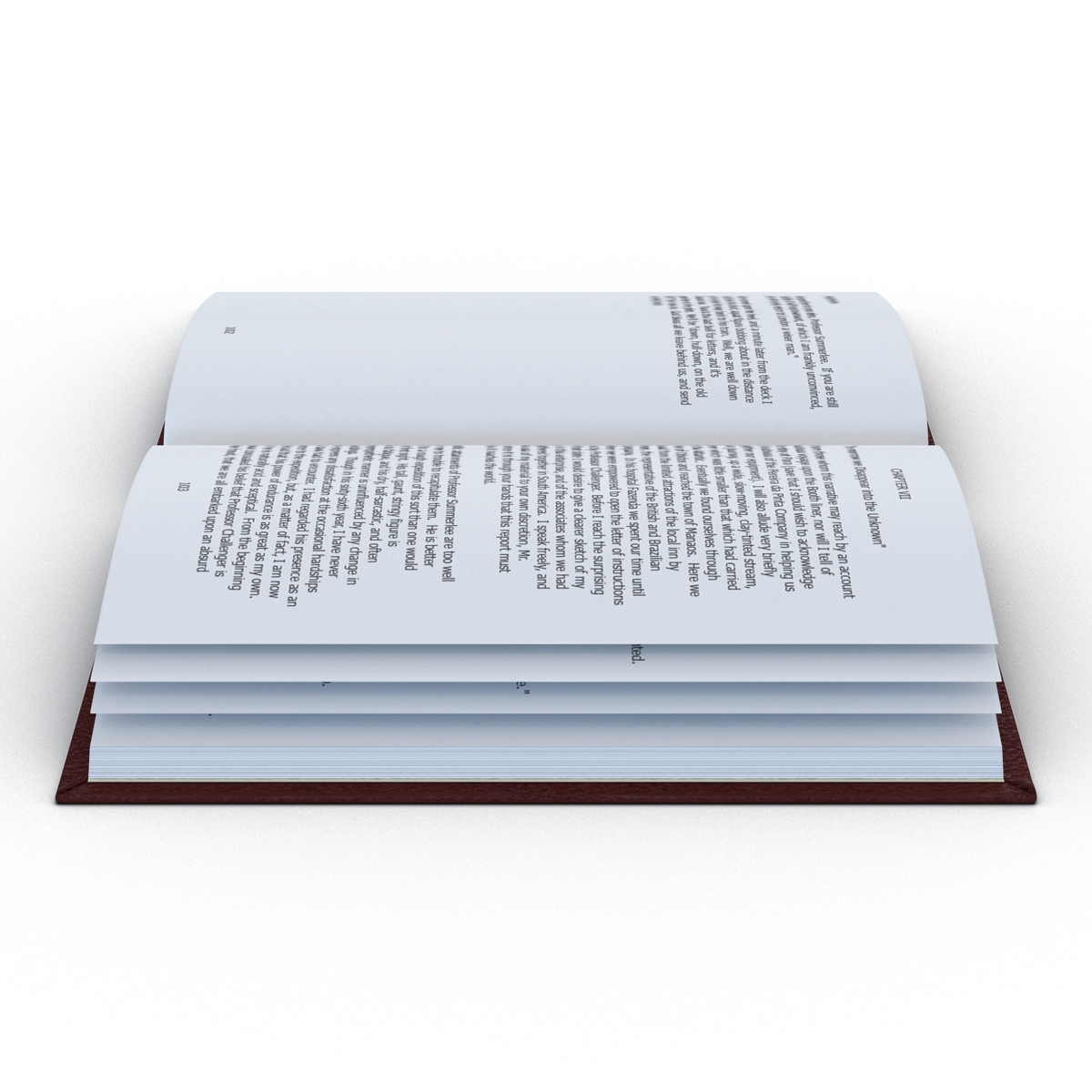 Open Book 3D model