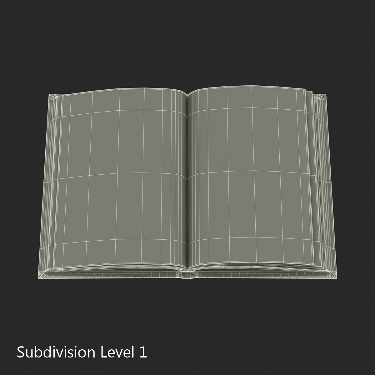 Open Book 3D model