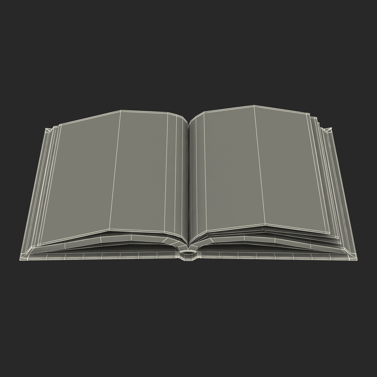 Open Book 3D model