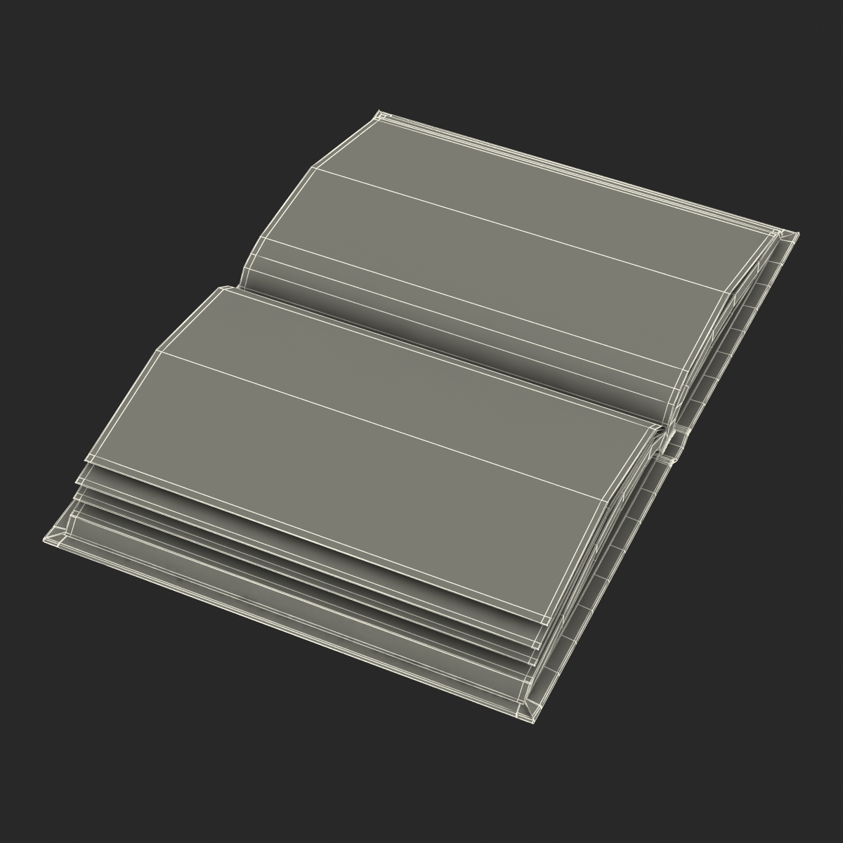 Open Book 3D model