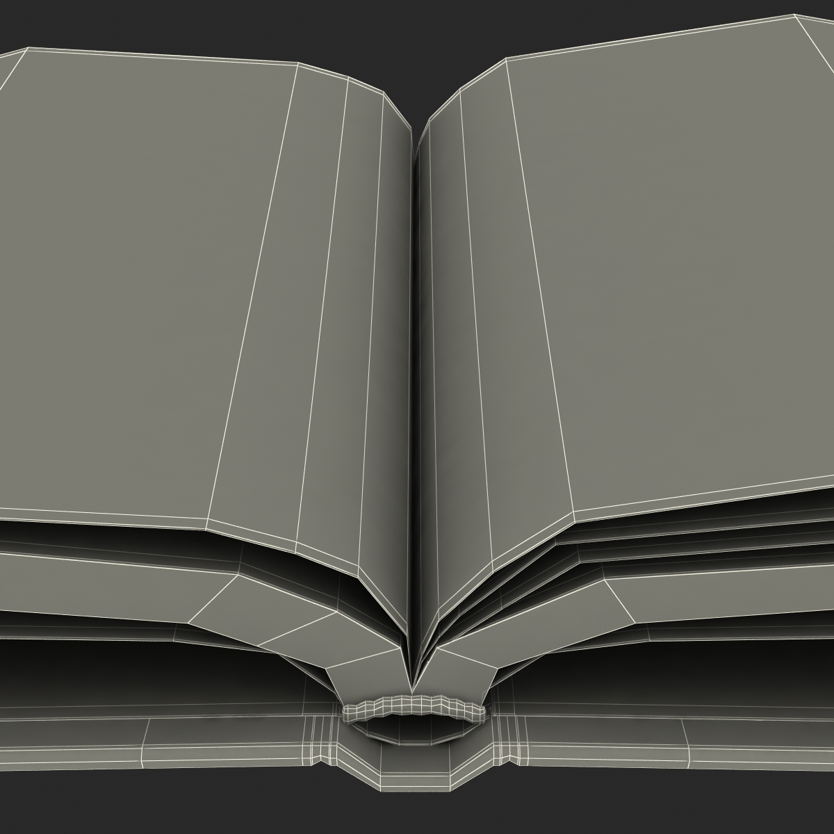 Open Book 3D model