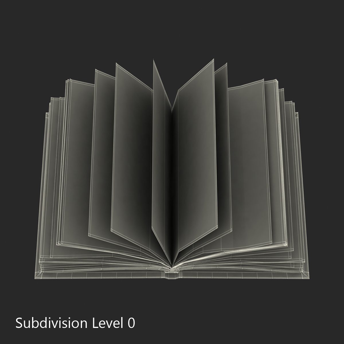 3D Open Book 4