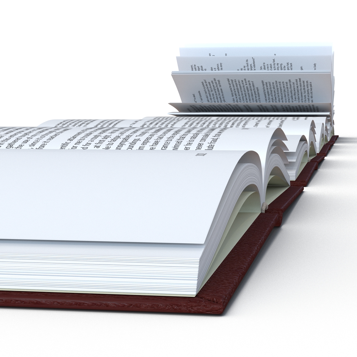 Open Books Set 3D model