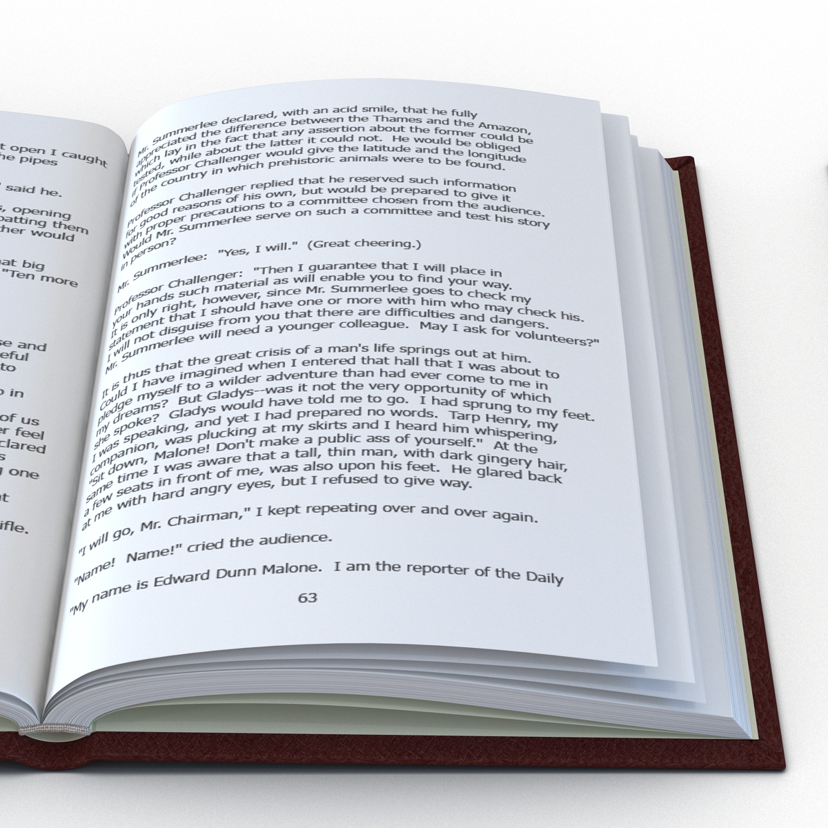 Open Books Set 3D model